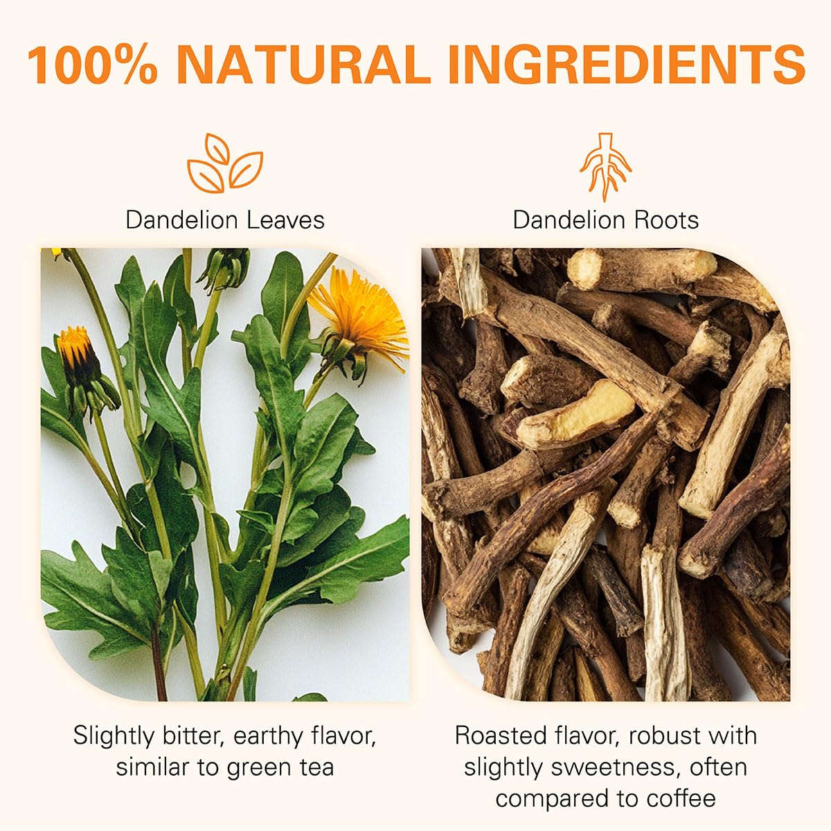 WT WEETEE Dandelion Leaf &amp; Root Tea Bags 100ct, Caffeine-free Roasted Aroma | 100% Pure Dandelion Leaf and Roasted Dandelion Root Blend | Soothing Coffee Alternative for Daily Wellness
