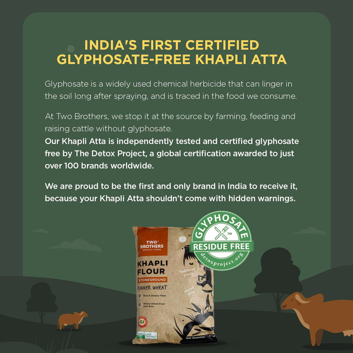 Two Brothers Organic Farms Khapli Atta (Emmer Long Wheat Flour)