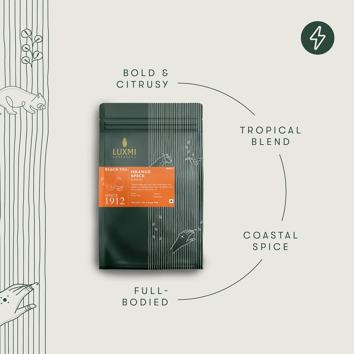 Luxmi Estates Orange Spice Darjeeling Black Tea for Caffeinated Morning Boost Natural Energy