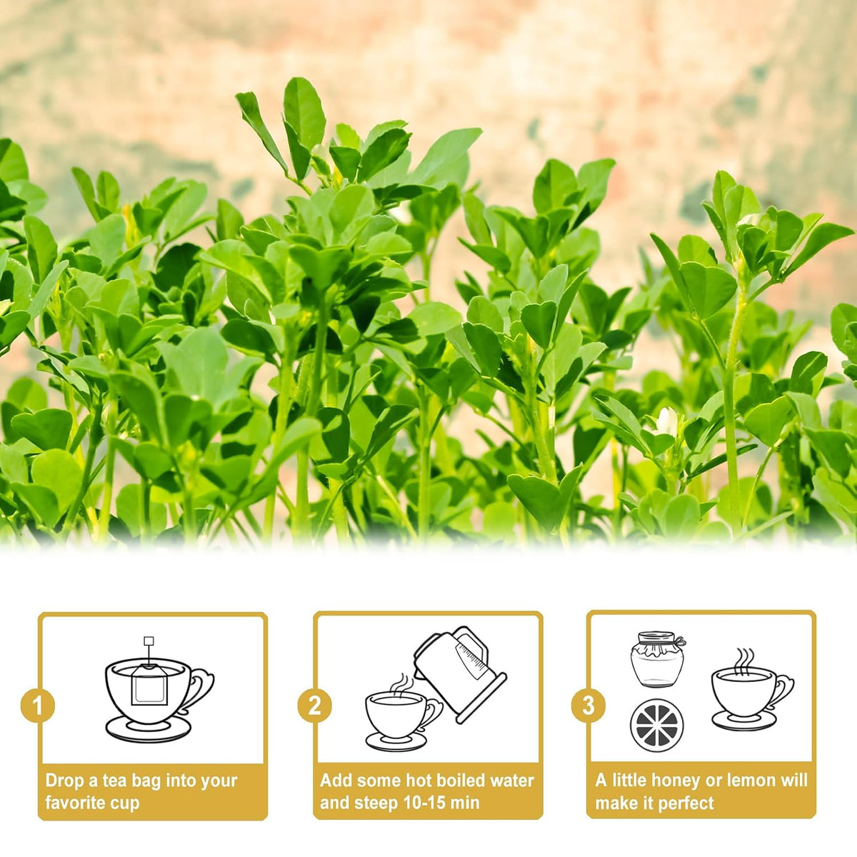 TEARELAE - Fenugreek Tea Bags, 50 Count, Fenugreek Seed Tea | Warm nutty seed flavor, Non-GMO and caffeine-free, traditionally enjoyed for digestive comfort