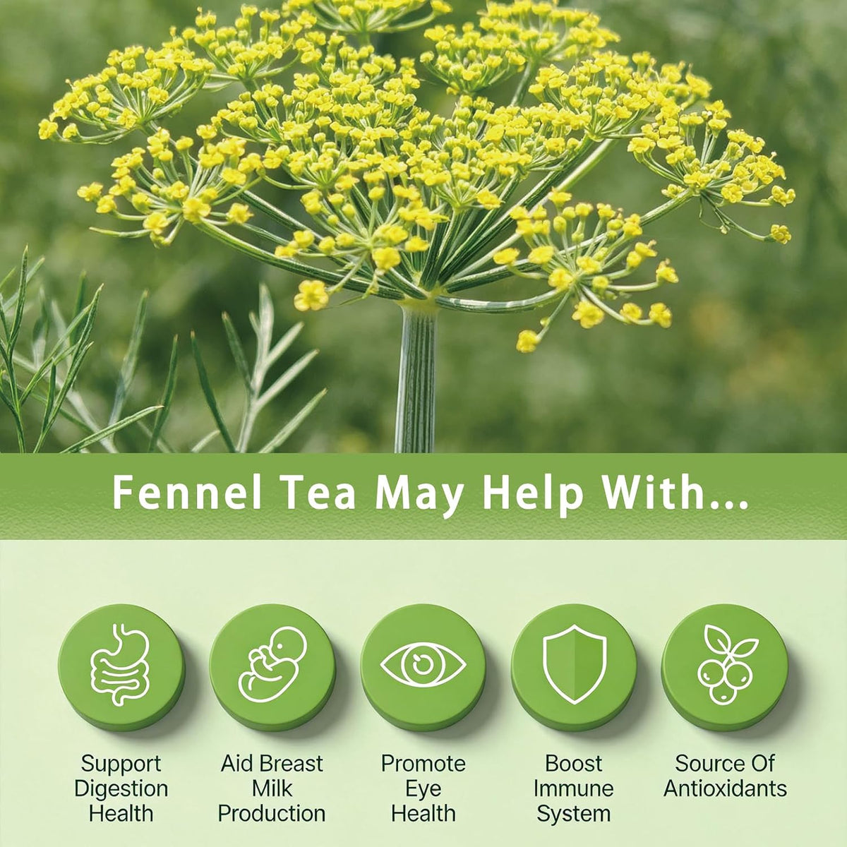 Samcci Fennel Tea Bags, 40 Count (4g/bag), Whole Fennel Seeds | Warm Aromatic Seed Infusion, Supports Digestion &amp; Immune System, Pure Herbal Tea, Non-GMO, Caffeine-Free, No Additives