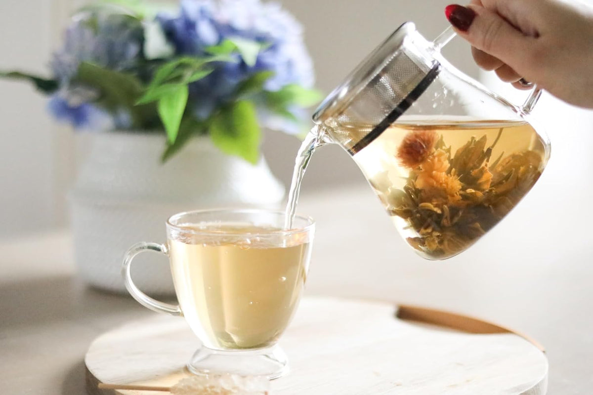 Teabloom One-Touch Tea Maker, 2-in-1 Teapot and Kettle with Stainless Steel Filter Lid for Loose Tea – Stain-free Borosilicate Glass Tea Pot (15 Oz) – Tea Connoisseur's Choice