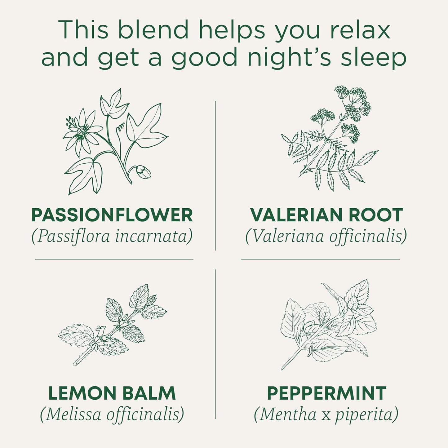 Traditional Medicinals Organic Nighty Night Extra Tea With Valerian Root for Relaxation, 48 Tea Bags