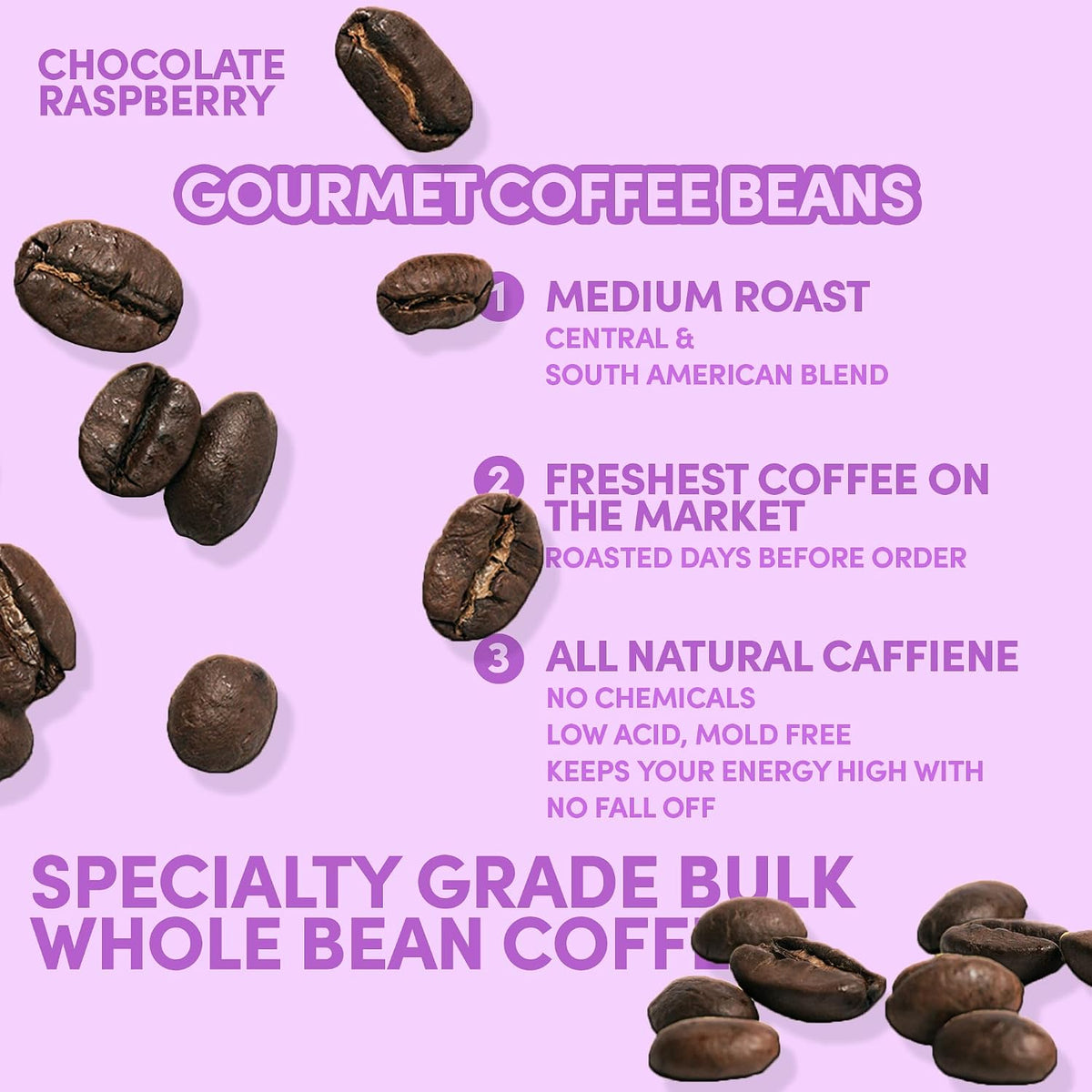 Sarasota Coffee Whole Bean Chocolate Raspberry | Medium Roast Gourmet Flavored Coffee Beans | Low Acid, Mold Free, Specialty Grade Bulk Coffee Beans | 5lb (80 oz)