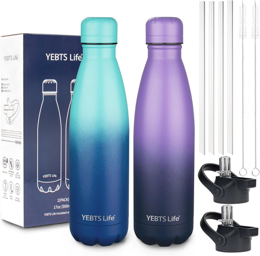 Insulated Water Bottle, 2 Pack-17oz Stainless Steel Water Bottles with straw lid, Metal Sports Water Bottles for Boys,Girls, Double Wall Vacuum BPA-Free Flask for School (Purple-Ocean Dream)