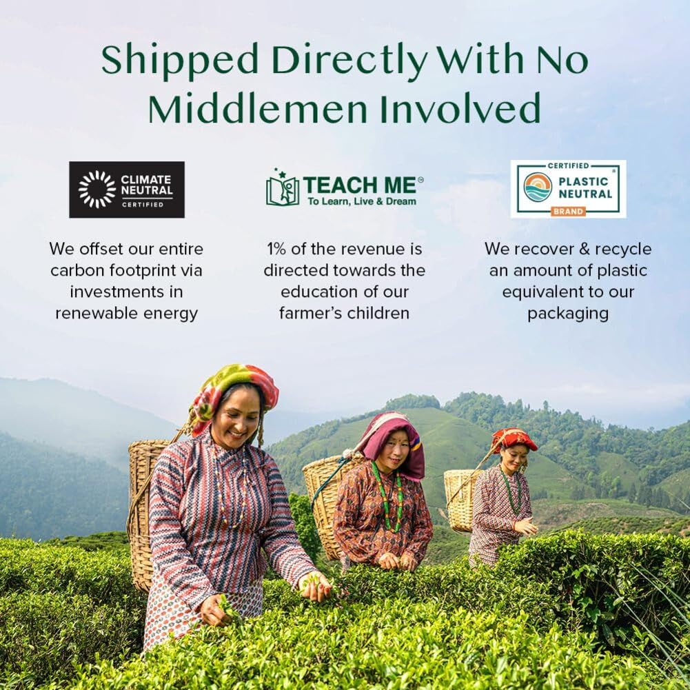 VAHDAM, Jasmine Green Tea Bags (100 Count) Med Caffeine, Non GMO | High Grown Green Tea Blended w/Pure Jasmine Flowers | Resealable Ziplock Pouch