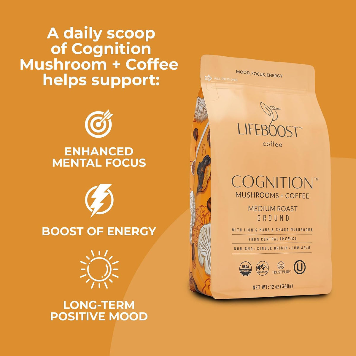 Lifeboost Cognition Focus Coffee for Calm Energy - Lion’s Mane Mushroom Coffee with Chaga - Organic Medium Roast Nootropic Coffee - Low Acid Adaptogenic Coffee - 12 oz Ground