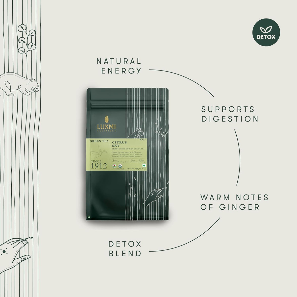 Luxmi Estates Citrus Sky Lemongrass Ginger Green Tea 200g Loose Leaf Pack