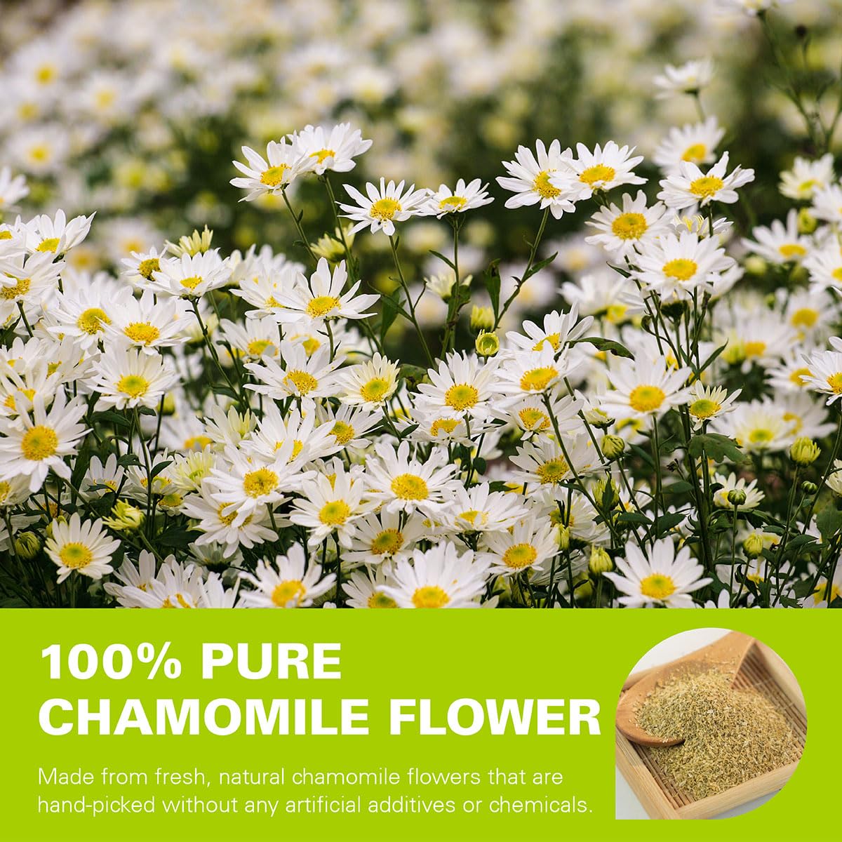 WT WEETEE Chamomile Tea Bags 100 Count, Caffeine-free Herbal for Bedtime