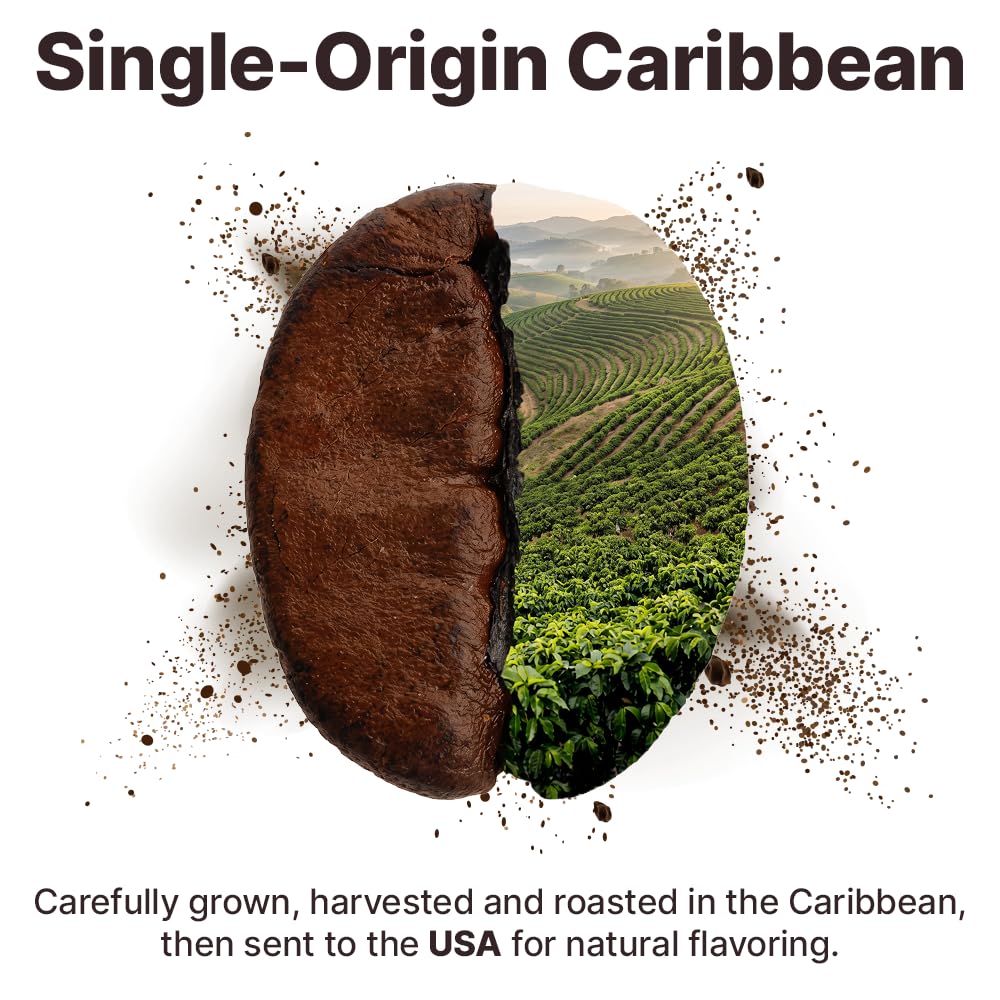 Organic Whole Bean Coffee Medium Roast (16oz) - Southern Pecan Flavored