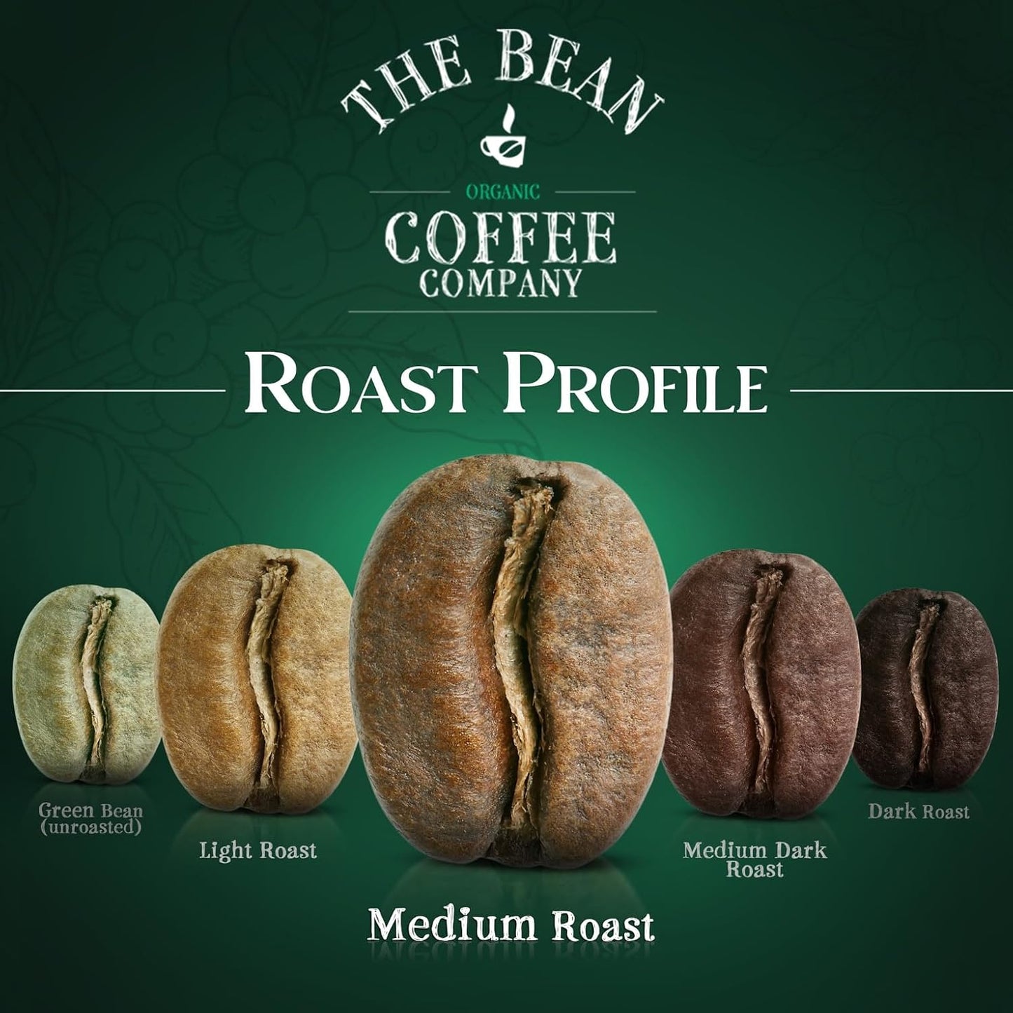 The Bean Organic Coffee Co. Central America Blend, Medium, Ground, 2 x 1 lb | Mild, well-balanced Central American blend. Organic ground coffee. Medium Roast. 2 x 1 lb.
