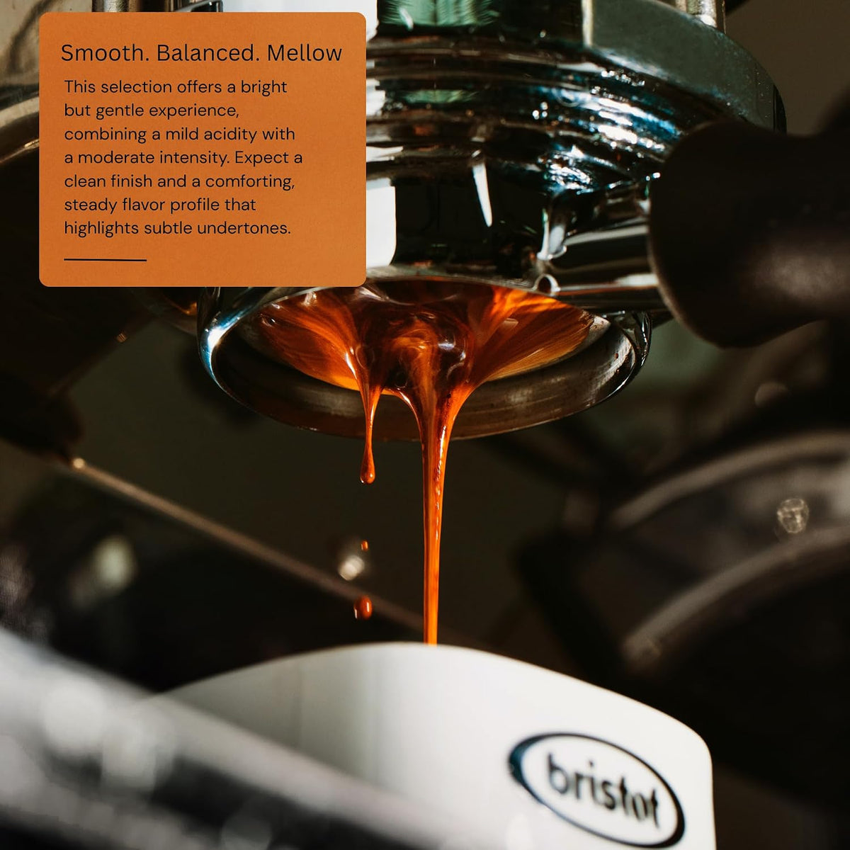 Bristot 100% Arabica Italian Espresso Beans