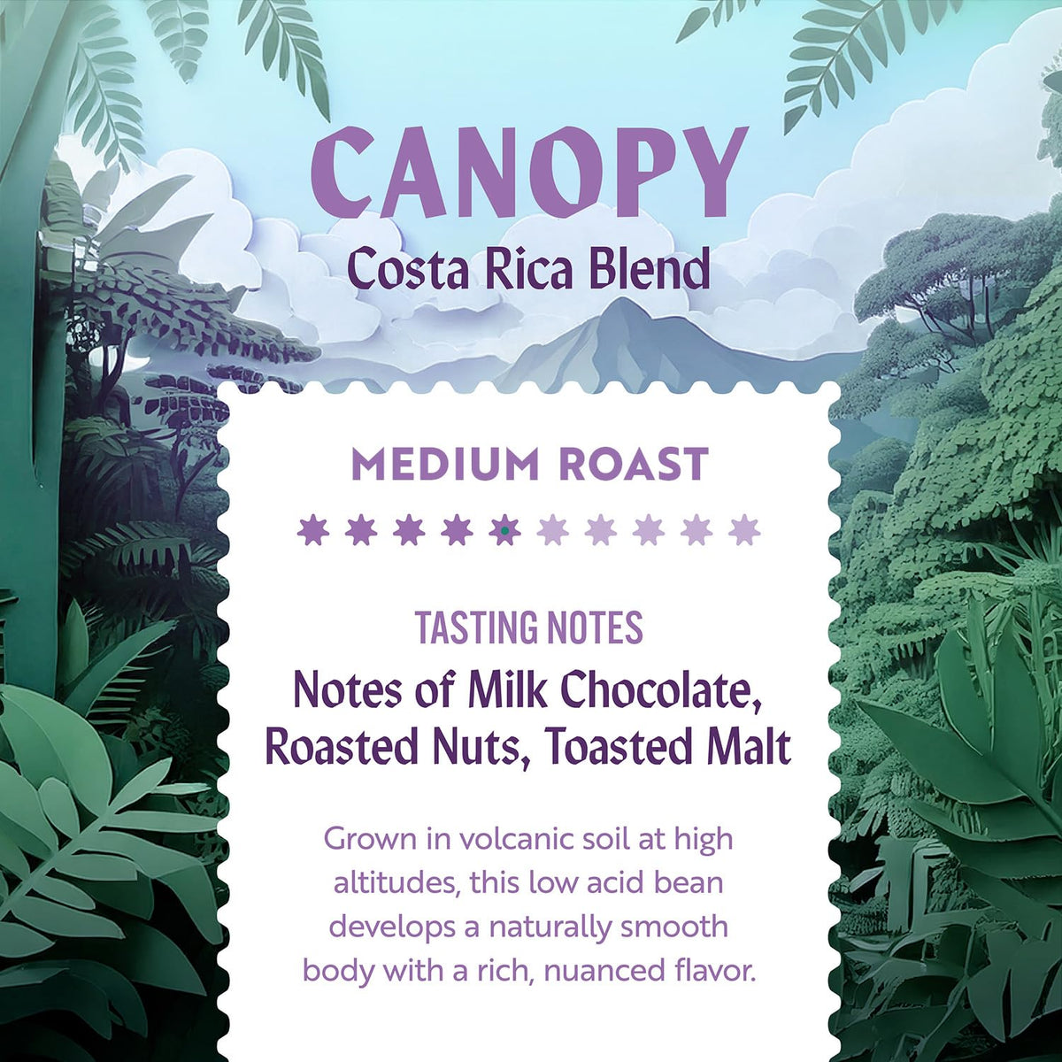 Clean Coffee Co. - Low Acid Medium Roast, Tested for Molds and Toxins, Costa Rica Blend, Notes of Milk Chocolate, Roasted