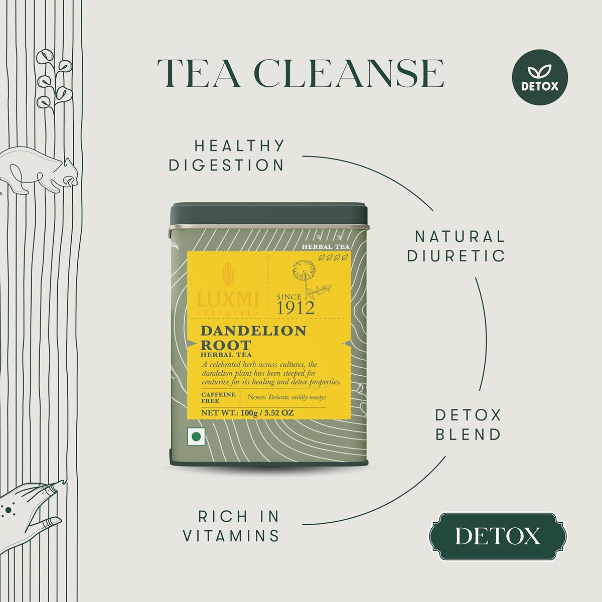 Luxmi Estates Pure Dandelion Root Tea, 100g (3.5oz, ~50 Cups), Single-Ingredient Roasted Dandelion Root from Our Own Indian Tea Estate | Caffeine-Free Coffee Alternative, Vegan