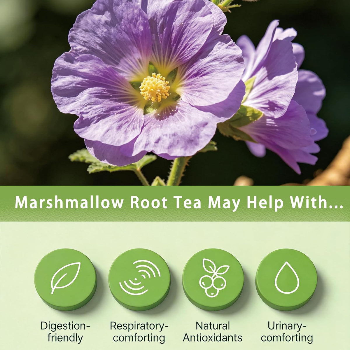 Samcci Marshmallow Root Tea Bags, 40 Count, Pure Althaea Officinalis | Pure Dried Cut &amp; Sifted Root, Supports Digestion &amp; Respiratory, 100% Natural, No Sugar, Caffeine-Free, Vegan