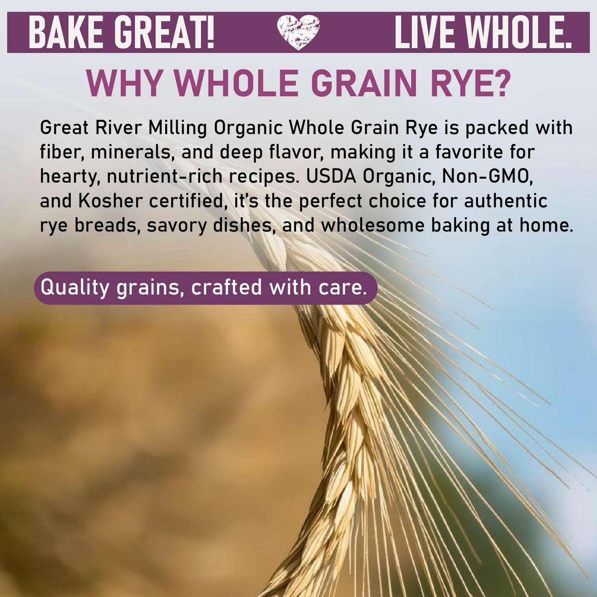 Great River Milling Organic Whole Grain Rye Berries, Non-GMO, 2 lb | Organic Whole Rye Berries for home-milled rye flour, sourdough bread, sprouting, soups, salads and pilaf; chewy cooked grain