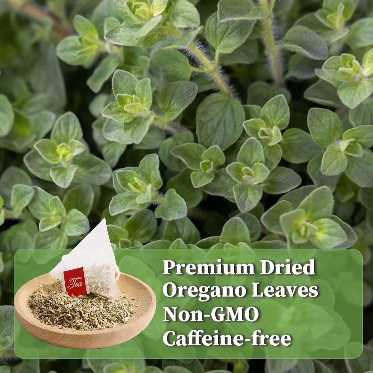 FullChea - Oregano Tea Bags, 30 Count, Dried Oregano Leaves | 100% pure dried oregano herbal tea, rich in plant antioxidants, Non-GMO &amp; caffeine-free, easy to brew hot or iced daily