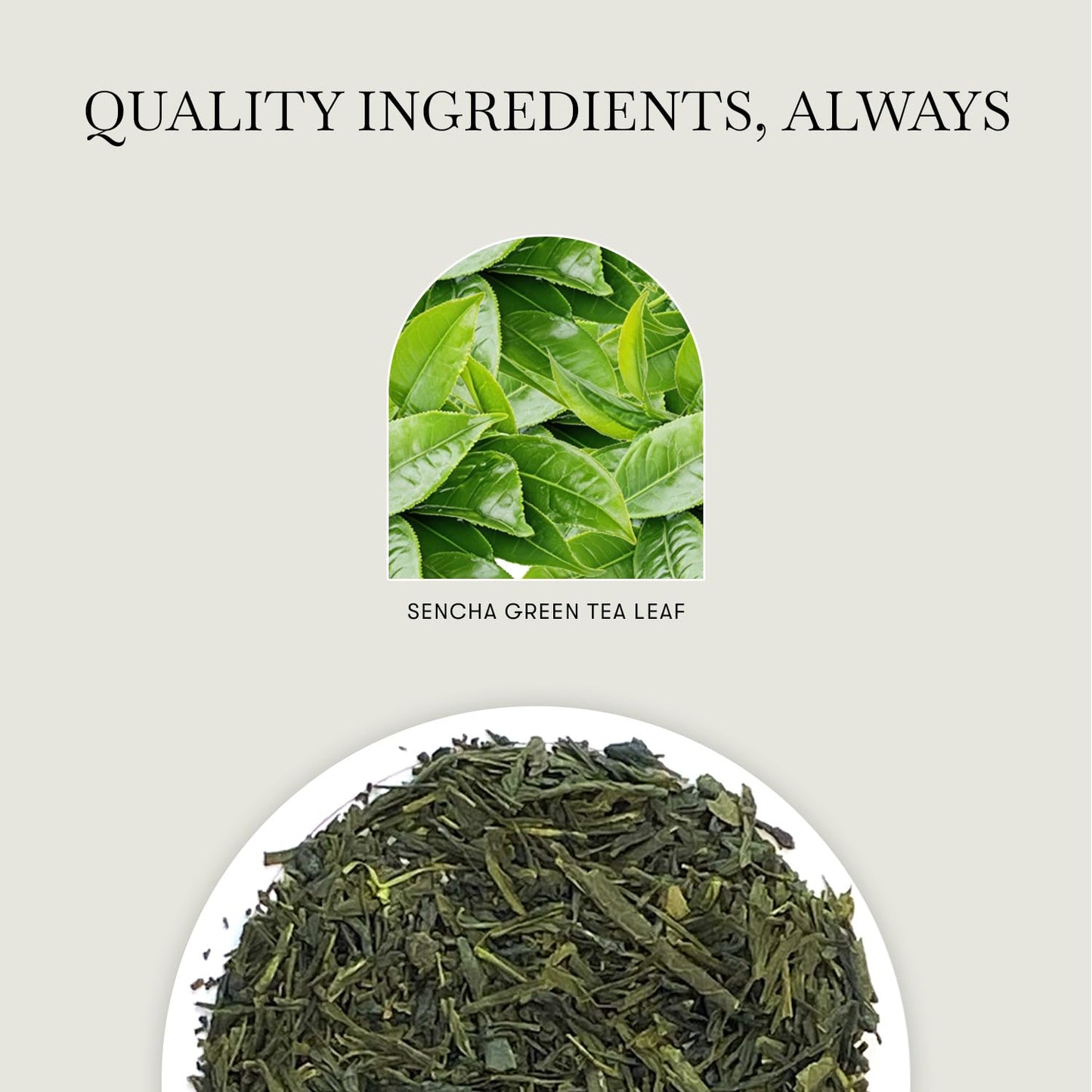 Luxmi Estates Japanese Sencha Green Tea 50g/1.76oz (25 Cups)|Authentic First Flush Sencha Loose Leaf|Mild Rich &amp; Refreshing