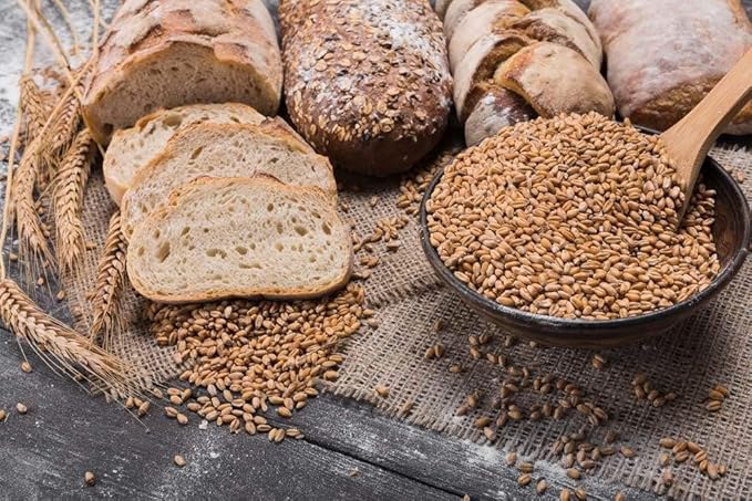 Food to Live Organic Rye Berries, 25 Pounds – Non-GMO, Kosher, Raw, Bulk Seeds, Product of the USA