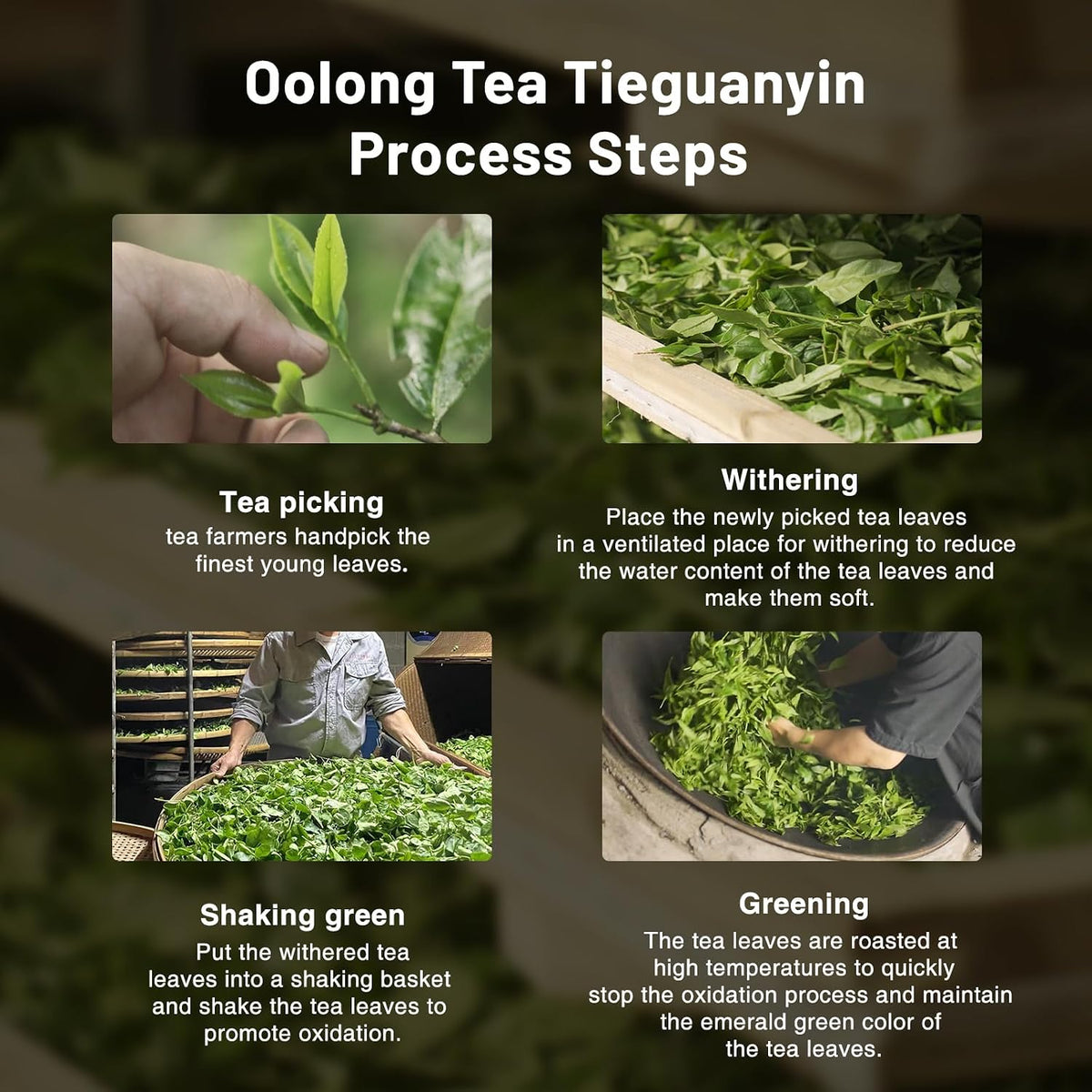 iTeaworld Tieguanyin Oolong Loose Leaf, Light Floral Style Oolong（3.5oz) | Up to 120 Cups|Natural Orchid Fragrance|Includes Tea Bags Easy Mug Brewing|Daily Use/Busy Work Tea