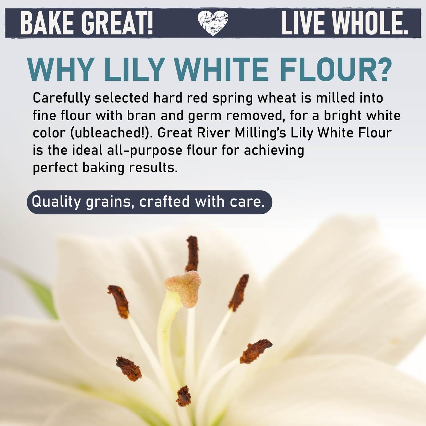 Great River Milling Organic Lily White All Purpose Flour, 5 lb | Organic Lily White All-Purpose Flour for cookies, cakes, muffins, biscuits, breads, pizza dough and pie crust; balanced