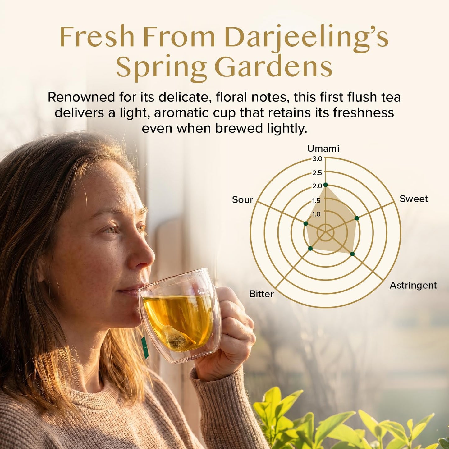 VAHDAM Darjeeling Spring Tea Bags (100 Count) Exotic First Flush Black Tea | Premium Long Leaf Quality | Aromatic, Robust Flavor, Unblended Darjeeling Tea| Caffeinated, Non GMO |Resealable Ziplock Pouch