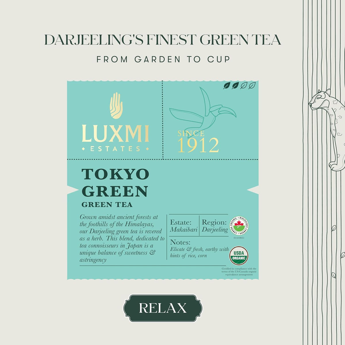 Luxmi Estates - Tokyo Green - Organic Makaibari Darjeeling Green Tea - Loose Leaf - 100g, 3.52 Oz (50 Cups) | From the Foothills of the Himalayas