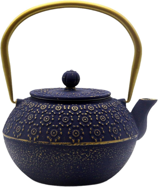 33.8oz Small Cast Iron Tea Kettle for Stovetop, Japanese Tetsubin Tea Pot Coated with Enameled Interior, Durable Cast Iron