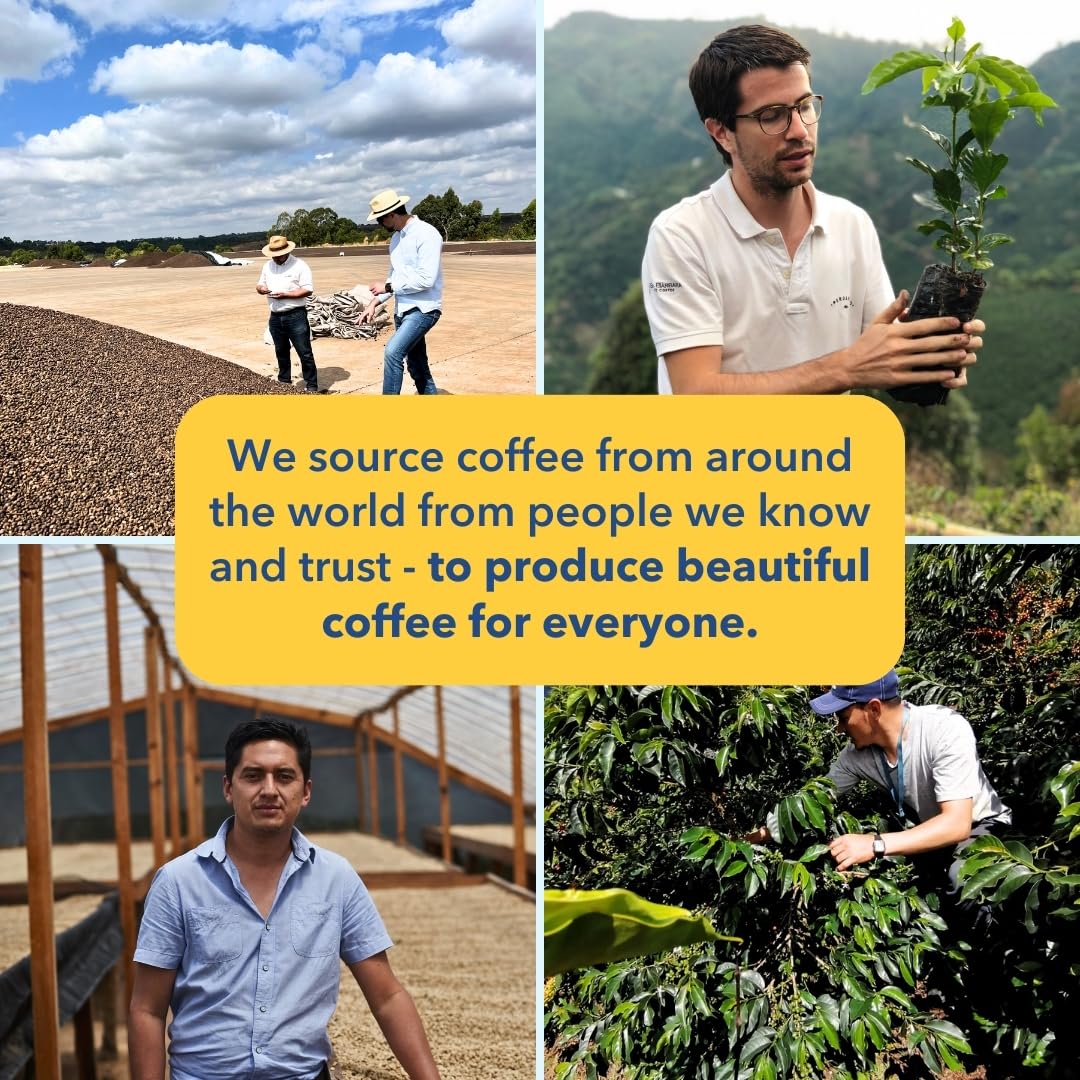 PARTNERS COFFEE ROASTERS - Whole Bean Coffee (Manhattan - Dark Roast) 12oz - Rich, Deep, &amp; Flavorful Omniroast - Whole Coffee Beans - Lab Tested for Mycotoxins &amp; Heavy Metals - Hand Roasted in NYC