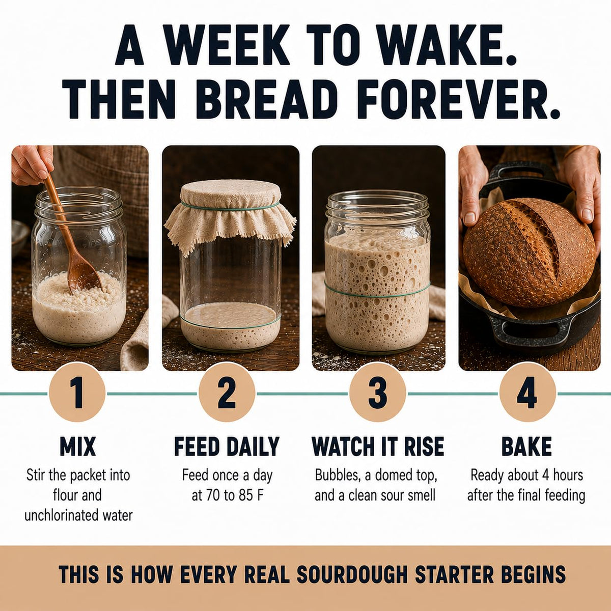 Cultures for Health Whole Wheat Sourdough Starter