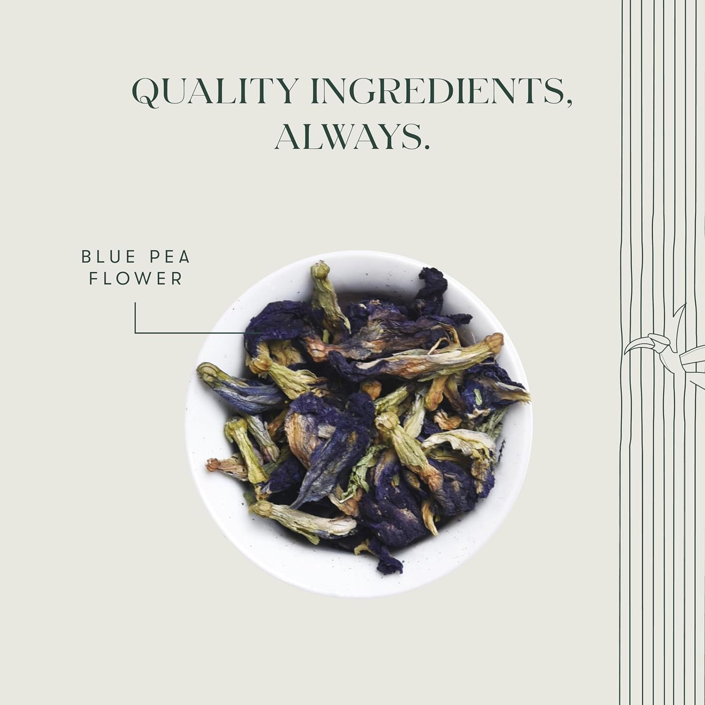 Luxmi Estates - Butterfly Pea Flower Tea - Loose Leaf - 25g (12 Cups) | USDA Certified Organic Blue Tea | Caffeine-Free | Single Ingredient