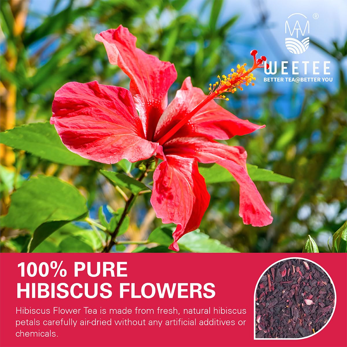 WT WEETEE Hibiscus Tea Bags 100ct, Cold Brew Friendly Pure Hibiscus Flowers | Tangy &amp; Refreshing, 100% Dried Hibiscus Petals with No Additives, Caffeine-Free, Antioxidant-Rich Daily Tea for Hot or Iced