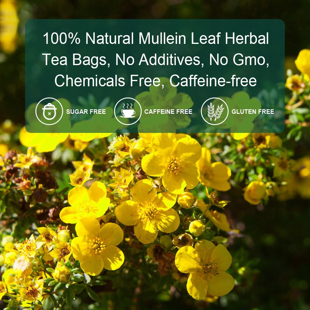 Mullein Leaf Tea Bags - Lungs Cleanse and Respiratory Support, Herbal Teas, Caffeine Free, 40 Tea Bags