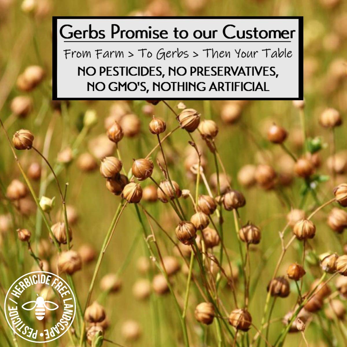Gerbs Flax Seed Meal 1 lb. | Finely Ground, No Additives, Resealable Bag | Earthy &amp; Smooth for Baking, Full Oil Content | Top 14 Allergen-Free