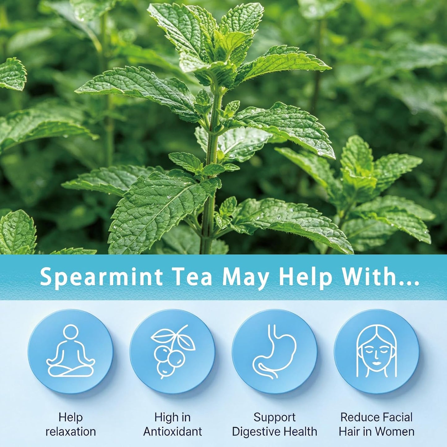 Samcci Spearmint Tea Bags, 40 Counts, Pure Dried Spearmint Leaf