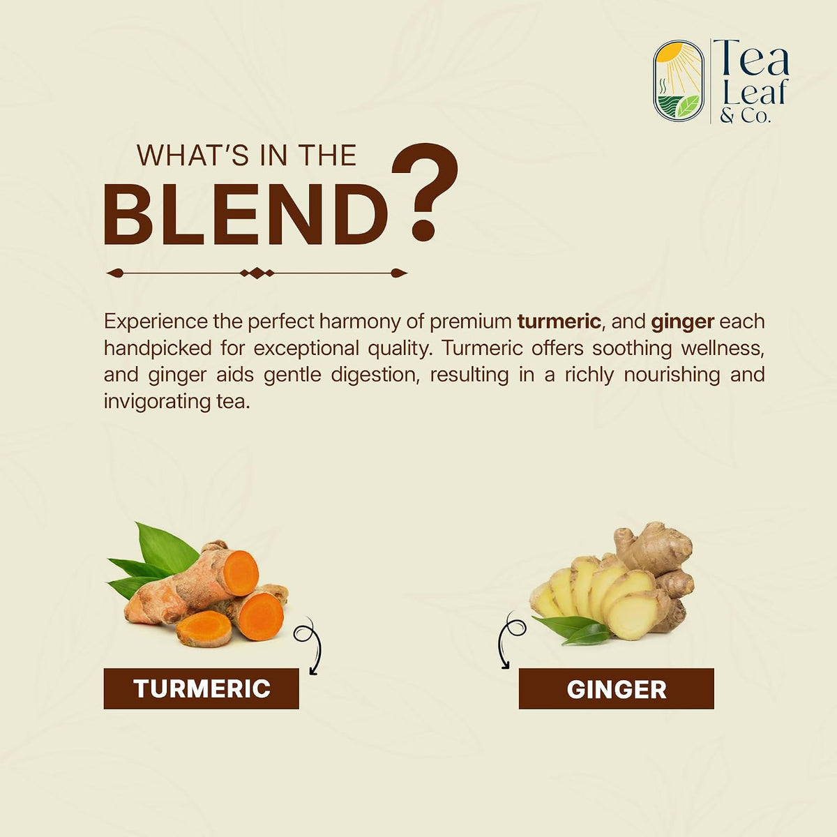 Tealeaf &amp; Co. Turmeric Ginger Herbal Tea - Organic Ginger Turmeric Tea Bags with Fresh Herbs and Spices - Low Caffeine &amp; Gluten Free - 100 Teabags (7.055oz/200gm)