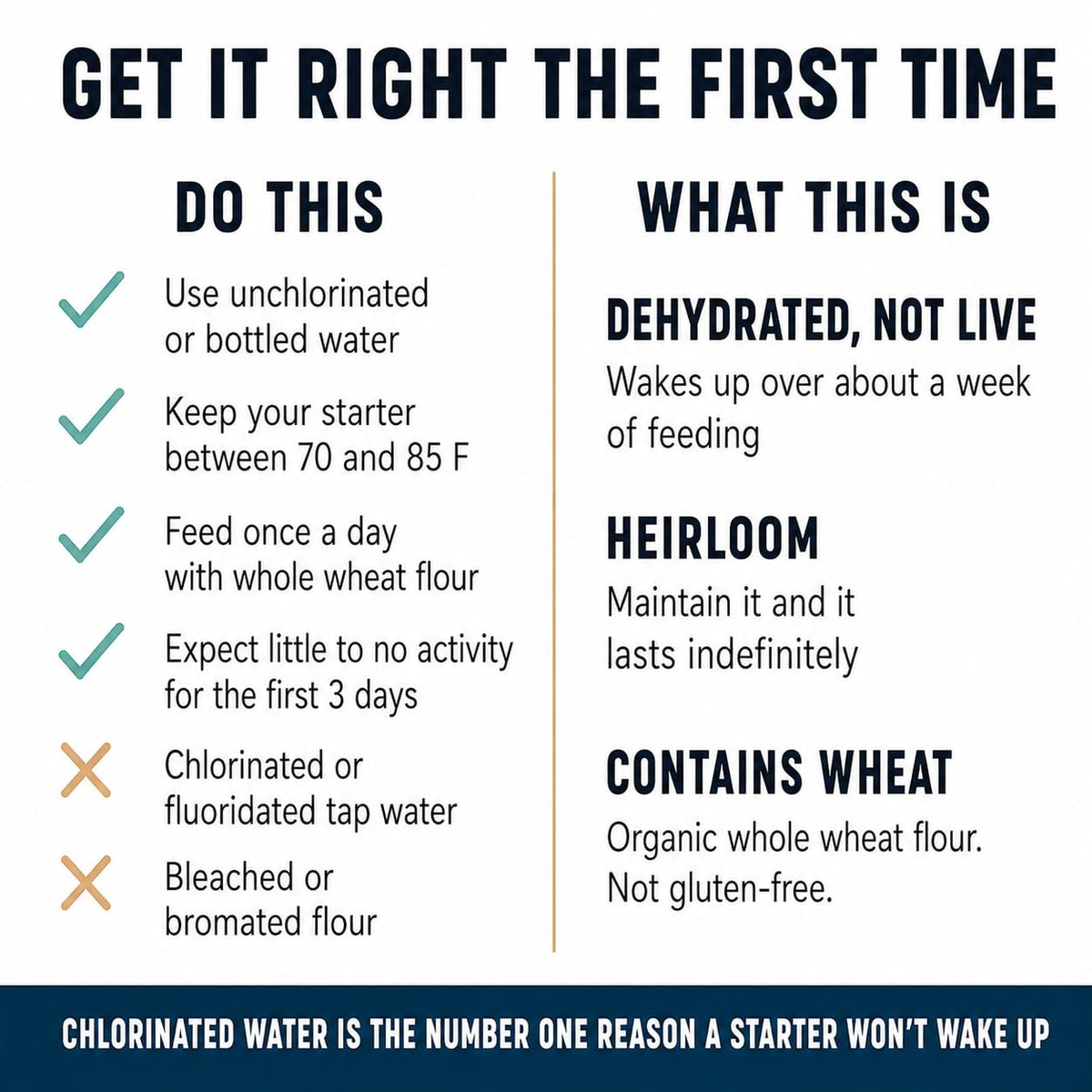 Cultures for Health Whole Wheat Sourdough Starter