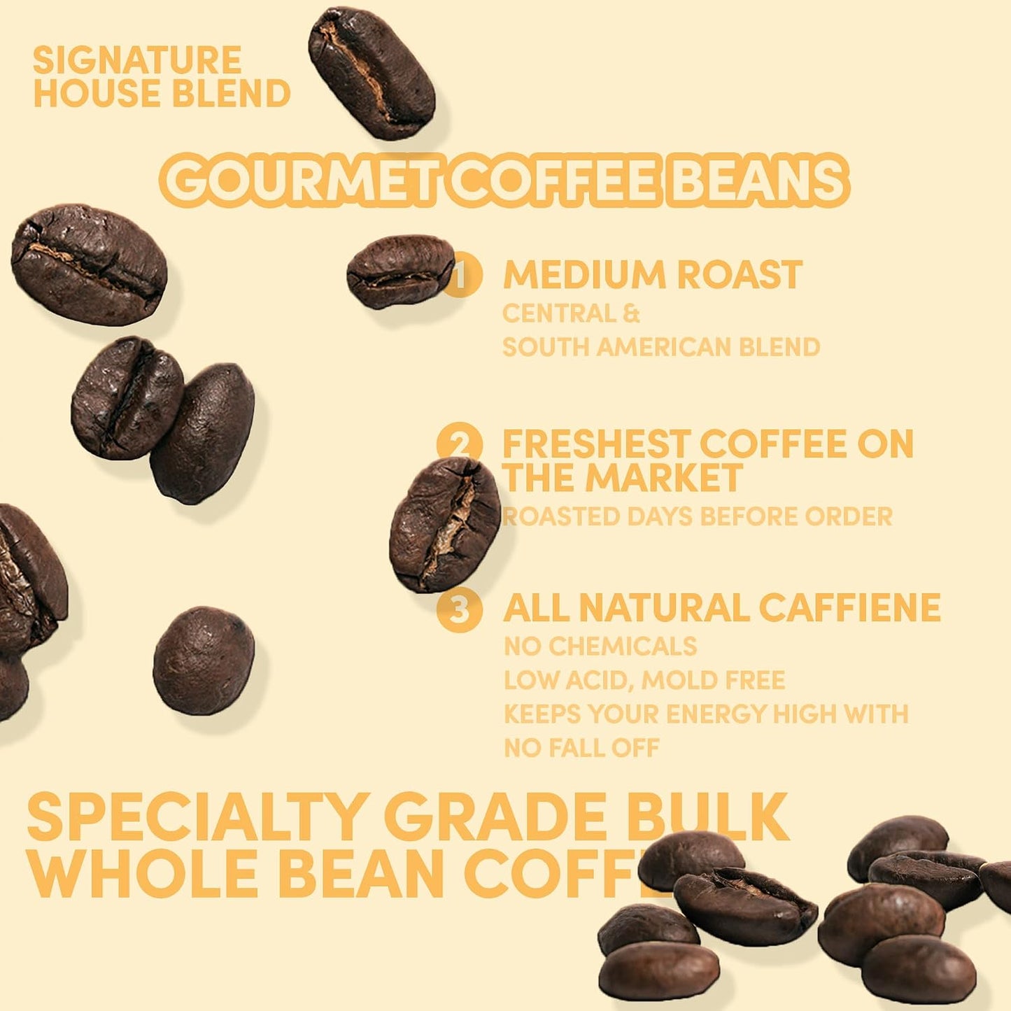 Sarasota Coffee Whole Bean Signature House Breakfast Blend | Medium Roast Gourmet Coffee Beans | Low Acid, Mold Free, Specialty Grade Bulk Beans | 5lb (80 oz)