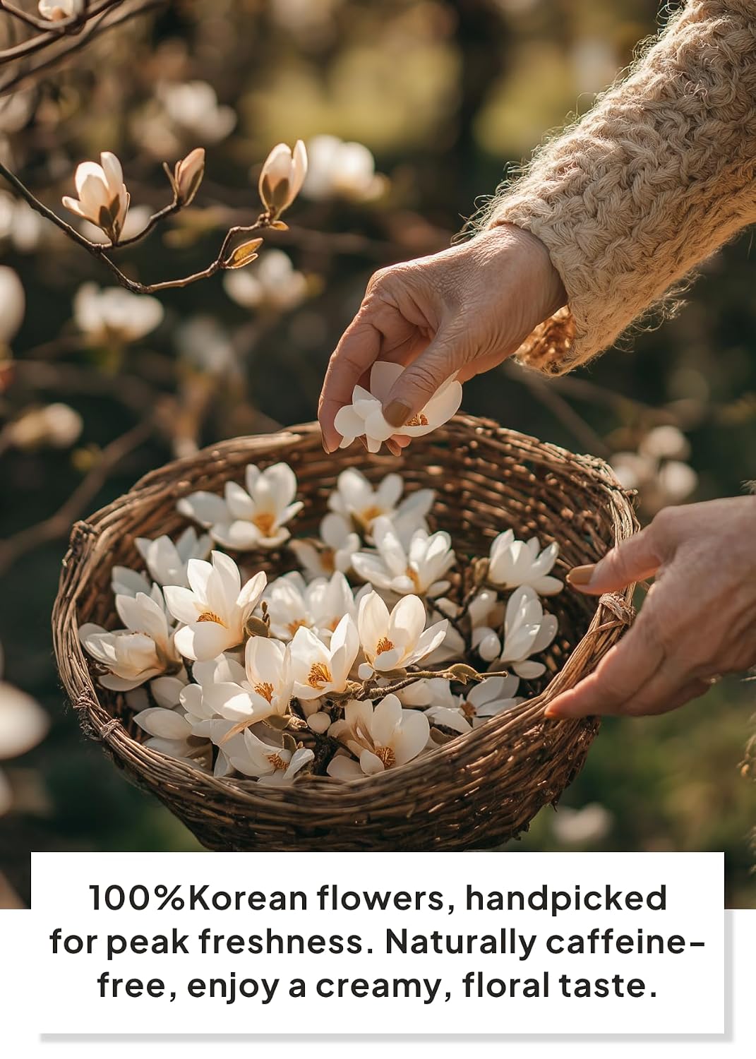 Korean Food KKOKDAM Magnolia Flower Tea, Decaf Floral Blend Sugar Free, 10g | Natural magnolia flower tea with no caffeine, sugar free, zero calories, and made with whole flowers in Korea.