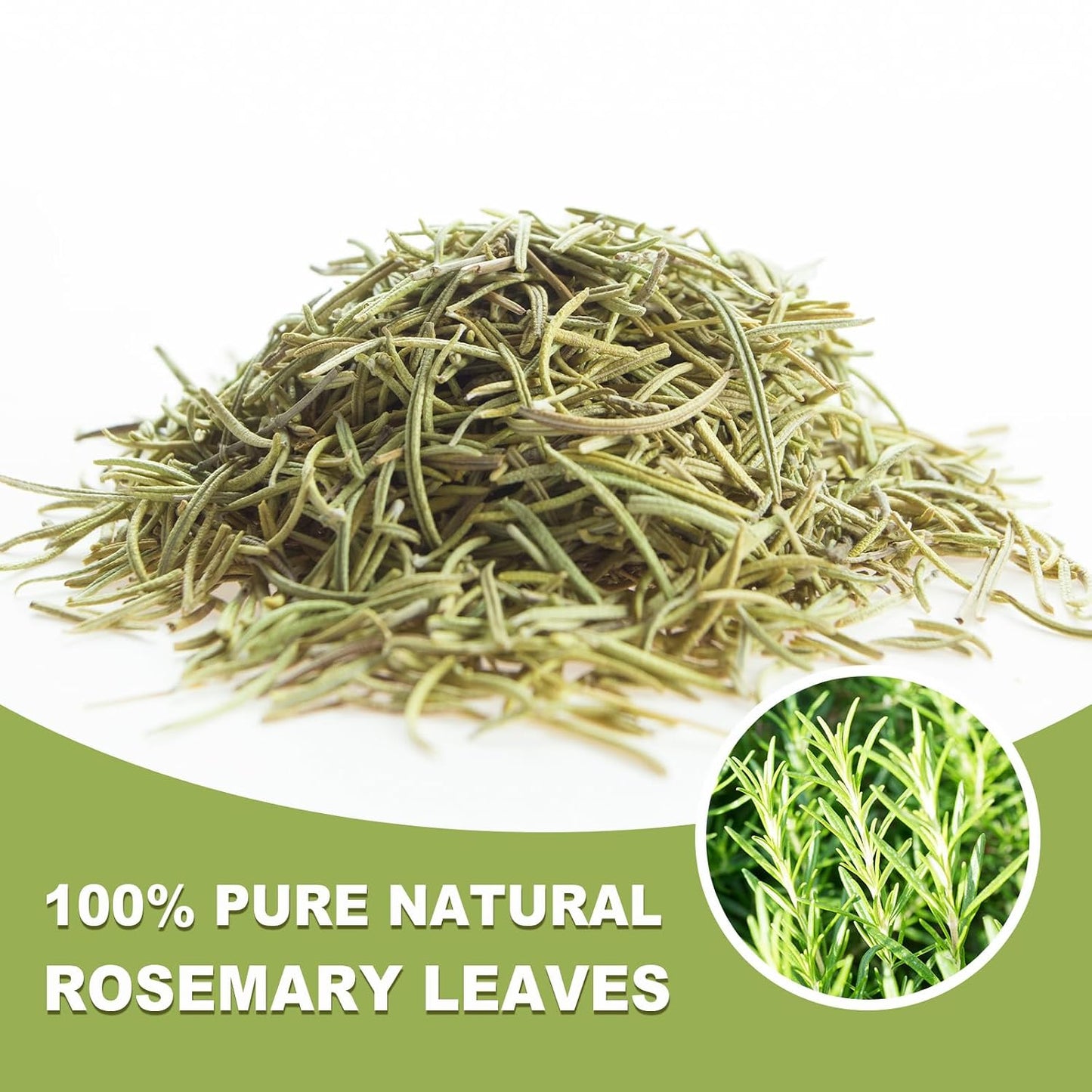TEARELAE - Rosemary Tea Bags, 50 Count, Rosemary Leaves Tea | Country of origin Egypt, traditionally enjoyed to aid digestion and support respiratory health