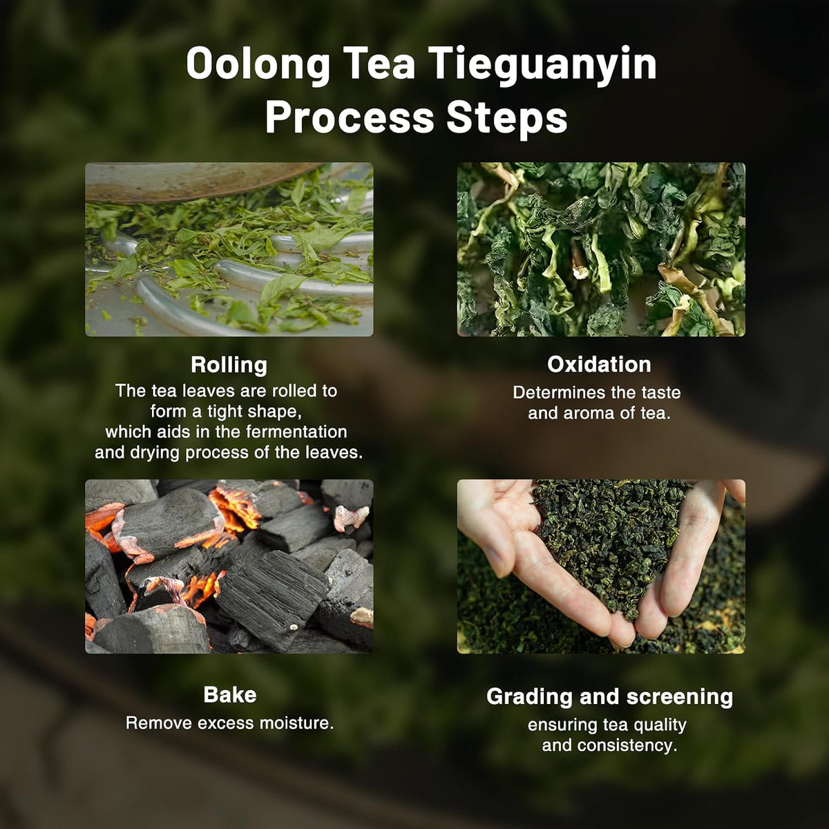 iTeaworld Tieguanyin Oolong Loose Leaf, Light Floral Style Oolong（3.5oz) | Up to 120 Cups|Natural Orchid Fragrance|Includes Tea Bags Easy Mug Brewing|Daily Use/Busy Work Tea