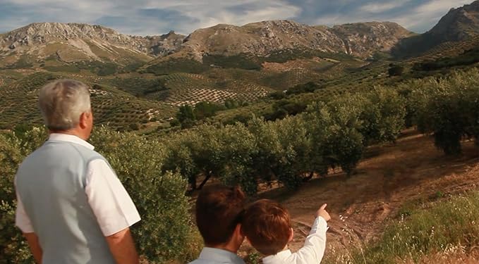 Venta del Barón - Voted The World's Best Olive Oil - Extra Virgin Cold Pressed - High in Polyphenols - 16.9 fl oz (500ml) Bottle