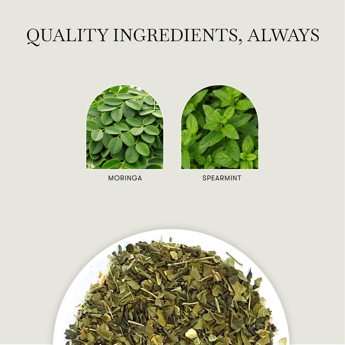 Luxmi Estates Moringa Mint Tea, Loose Leaf, 50g (1.76oz, ~25 Cups), Moringa Oleifera Leaf with Spearmint - Caffeine-Free Herbal Superfood Infusion, Vegan &amp; Non-GMO