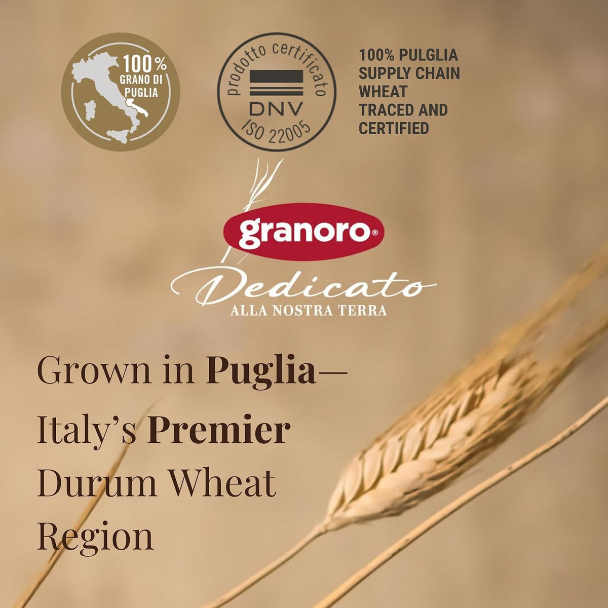 Granoro Dedicato Capellini #16 (Angel Hair) - Authentic Italian Pasta, Made from 100% Puglia Durum Wheat Semolina, Non-GMO, Vegan, 1 lb Bags (Pack of 2)