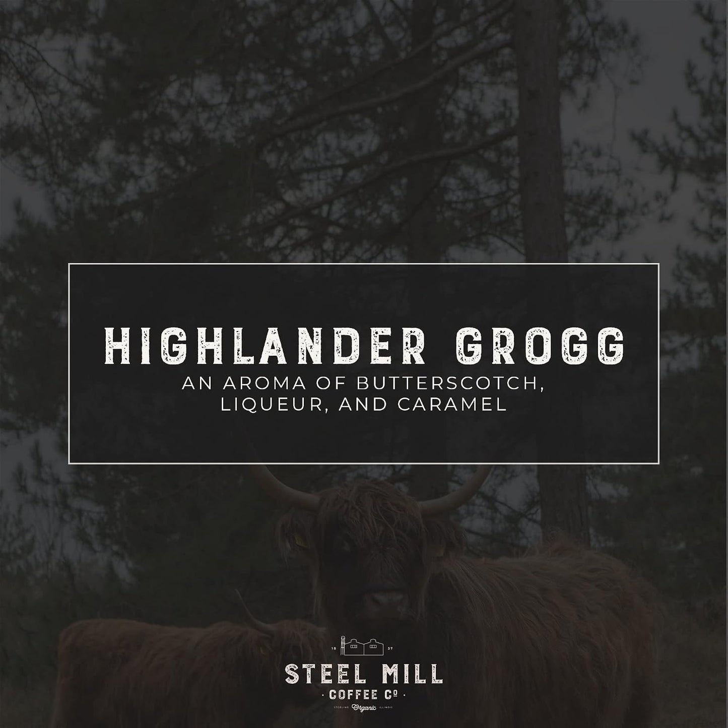 Steel Mill Coffee Co. Highlander Grogg Medium Roast Ground, 12 oz Bag