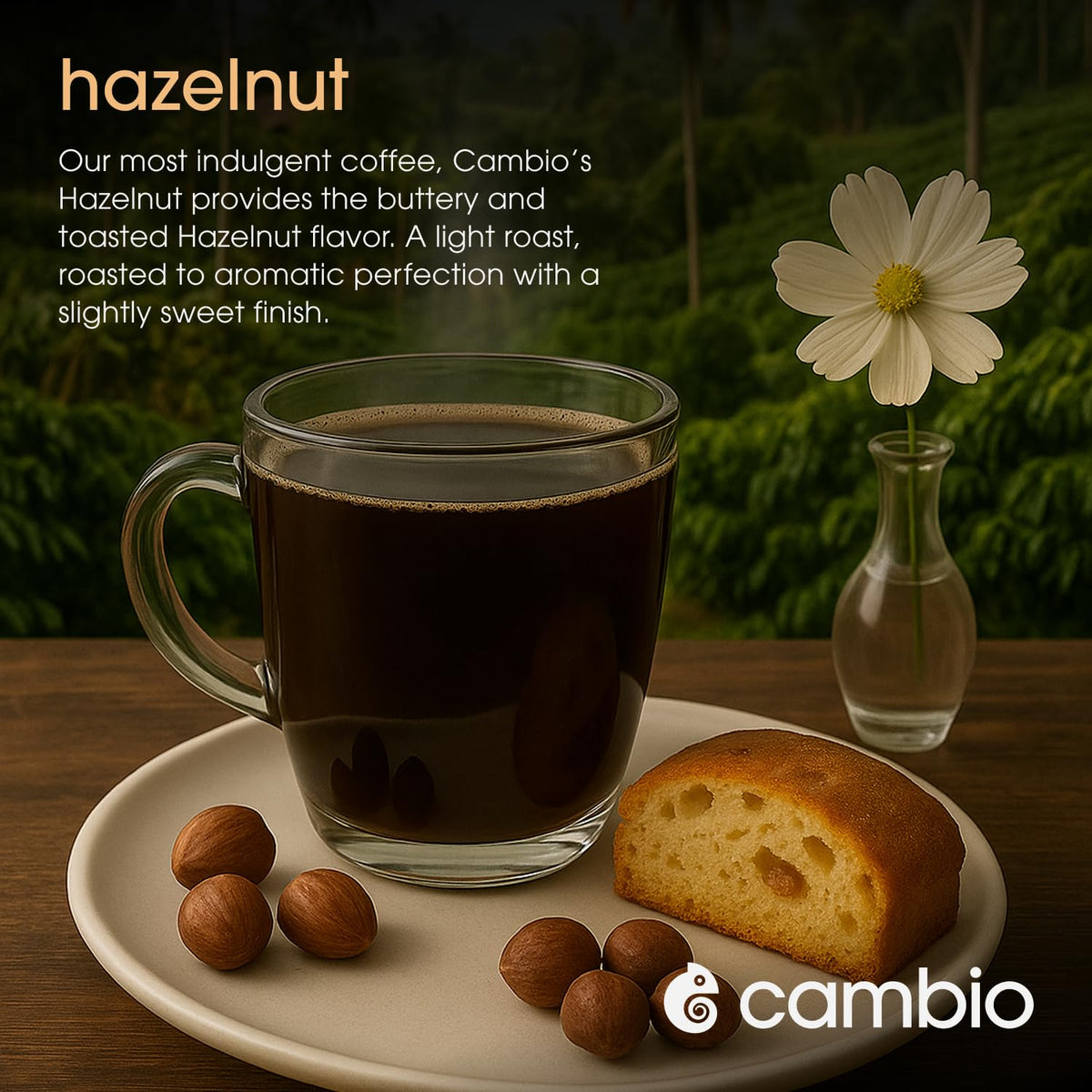Cambio Roasters Hazelnut Coffee Pods - Recyclable Aluminum Pods, 10ct | Hazelnut Light Roast Organic Coffee in Recyclable Aluminum Coffee Pods. Compatible with Keurig® Brewers.
