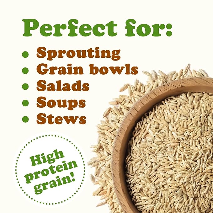 Food to Live Rye Berries, 1 Pound – Whole Grain Powerhouse for Bread, Sourdough, Porridge, and Granola. Rich in Fiber and Nutrients. Raw, Unprocessed, Vegan, Kosher, Seeds in Bulk