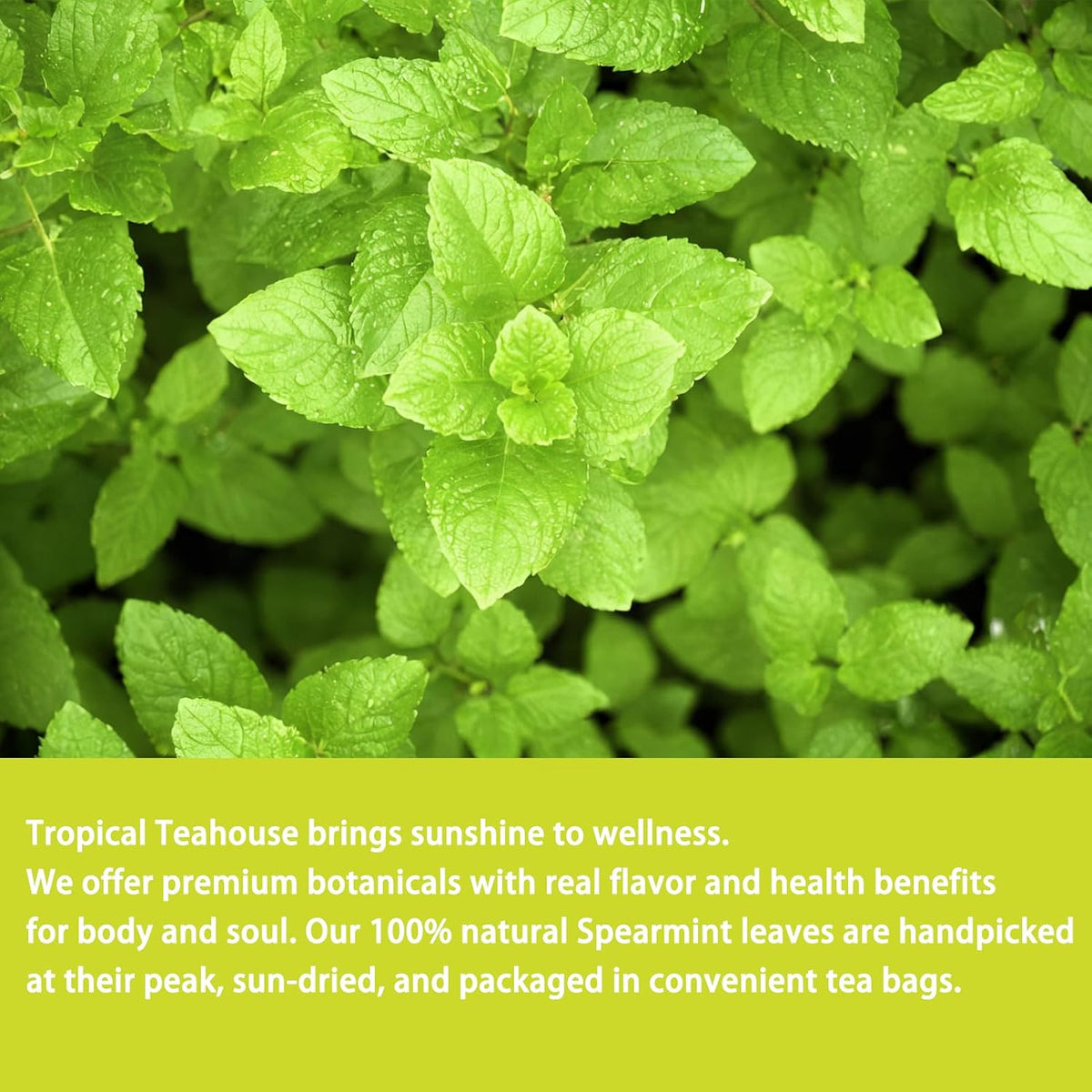 Samcci Spearmint Tea Bags, 40 Counts, Pure Dried Spearmint Leaf