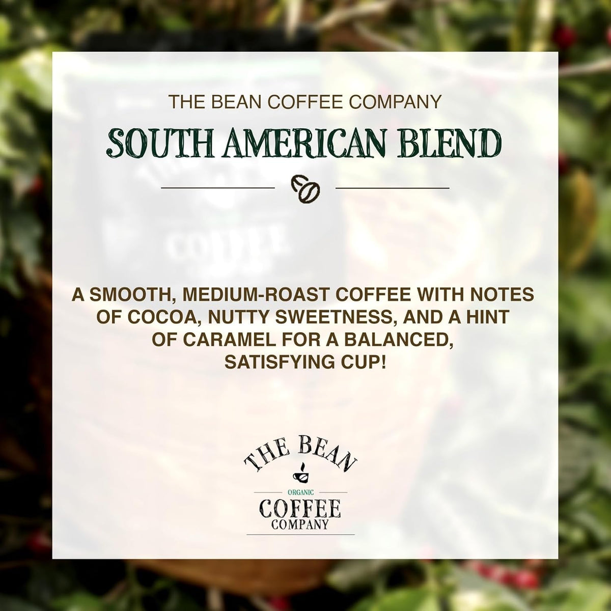The Bean Organic Coffee Co. South America Blend, Medium, Ground, 2 x 1 lb | Smooth, well-balanced South American blend. Organic ground coffee. Medium Roast. 2 x 1 lb.
