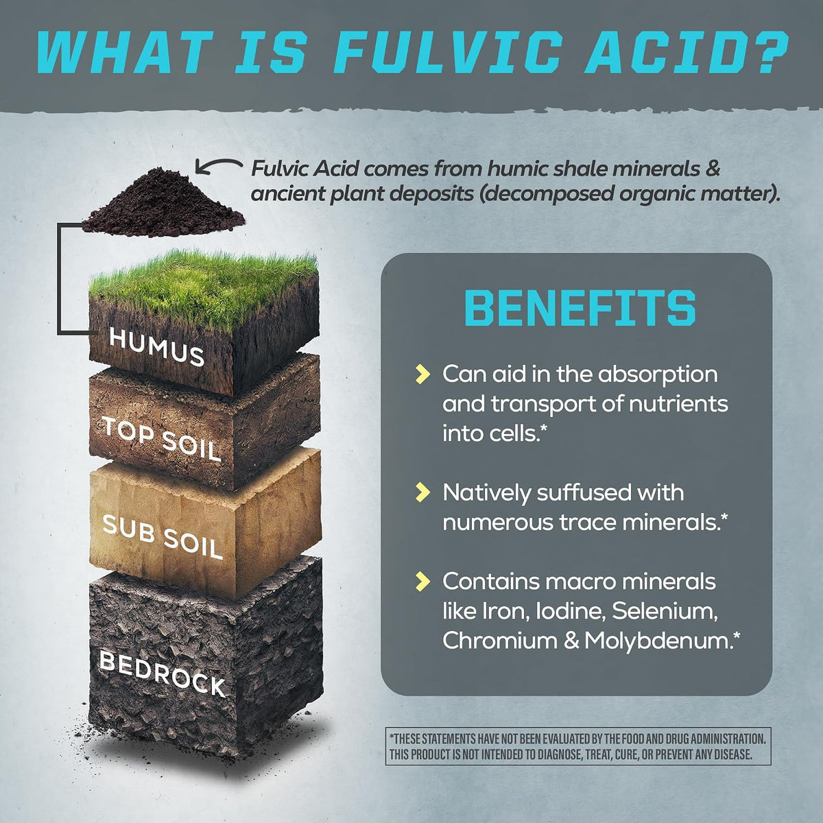 Fulvic Acid Trace Minerals Supplement Organic Liquid Minerals | 32 Servings
